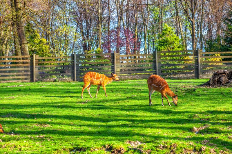 Deer Fence Renovation